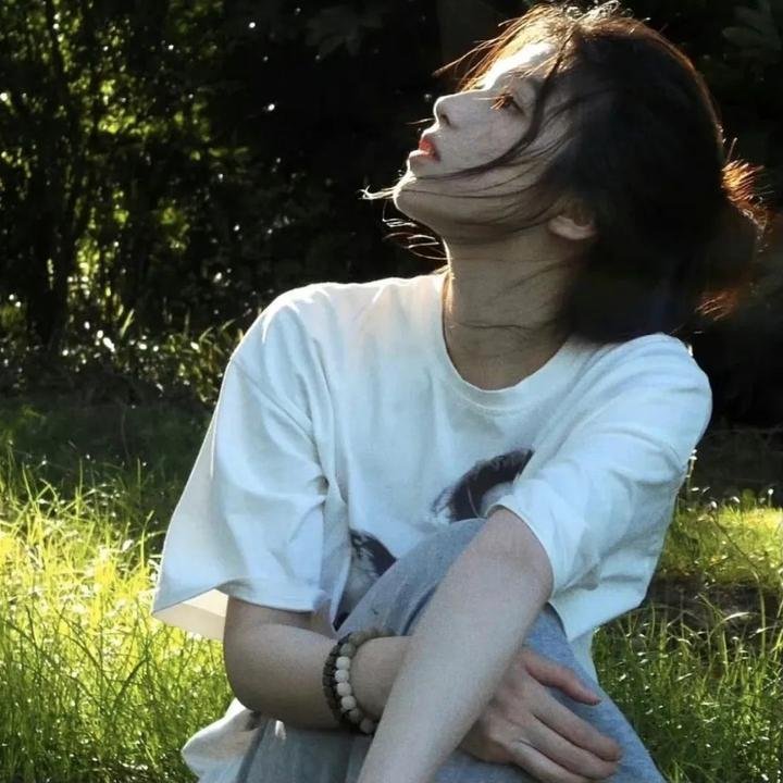 在蓝色时分飞翔